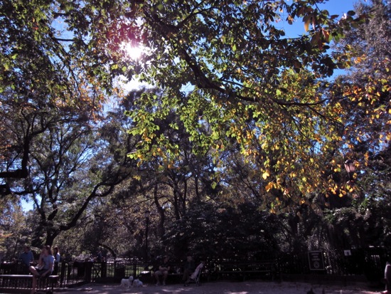 tompkins