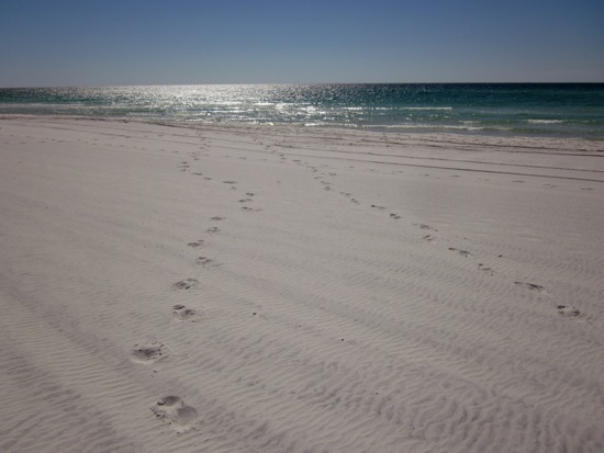 beach