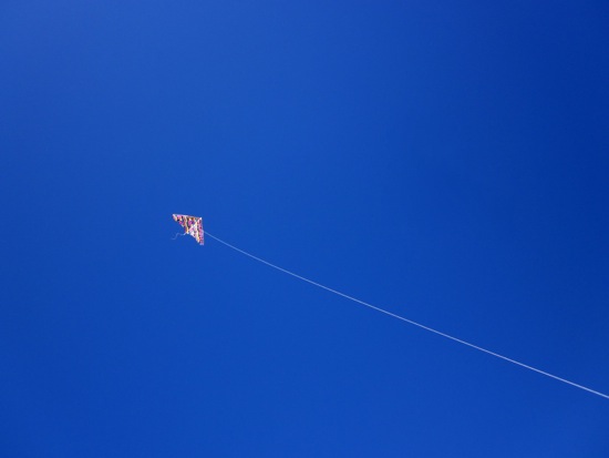 kite