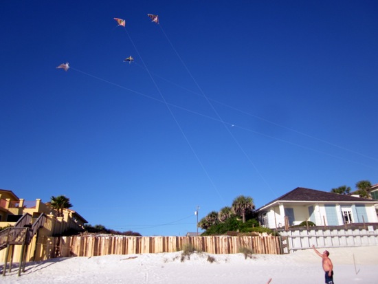 kite
