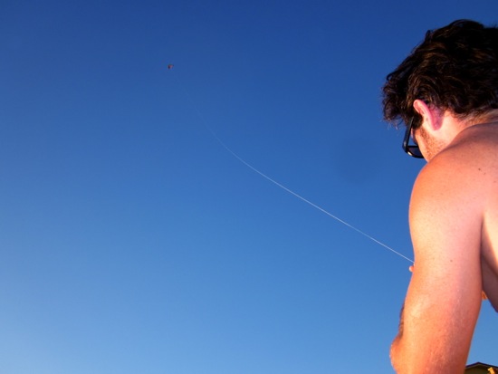 kite
