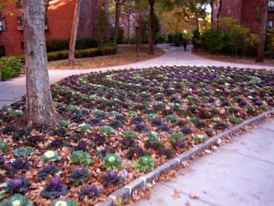 stuytown