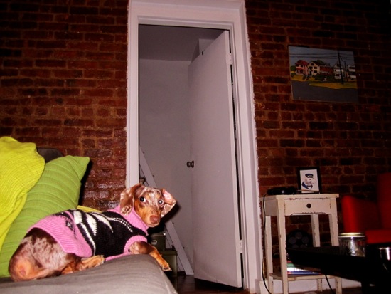 maddy