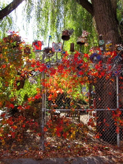 fence