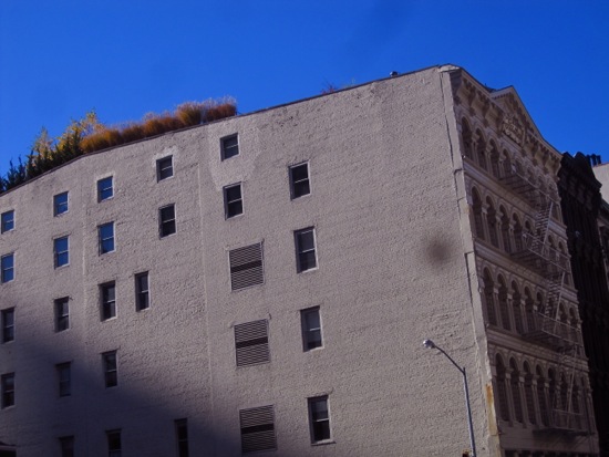 buildings