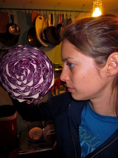 cabbage