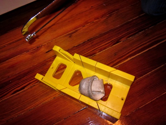 rawhide