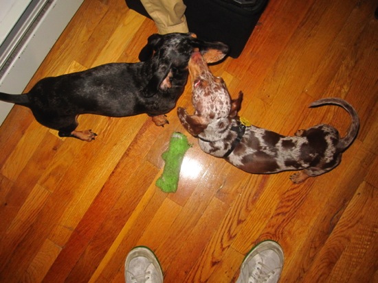 edie + maddy