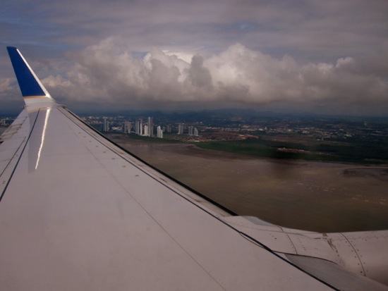 wing