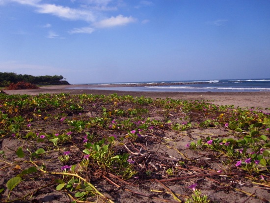beach