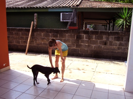 dogs + meredith