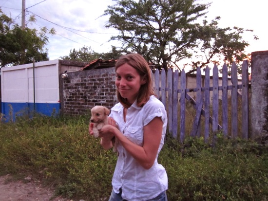 puppy