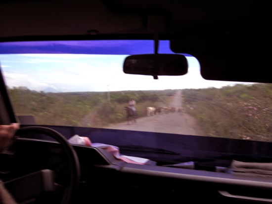 driving