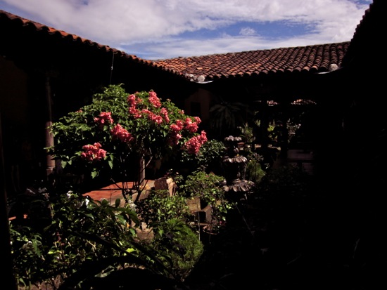 garden