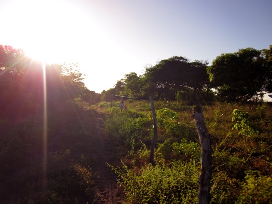 sunrise