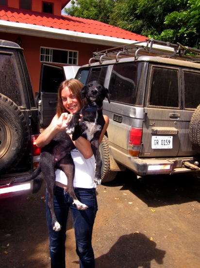 dogs + meredith