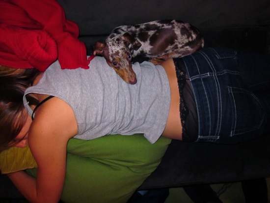 cuddle