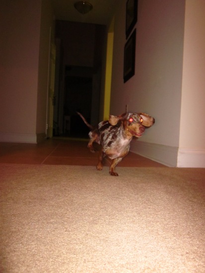 action shot