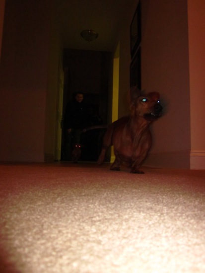 action shot
