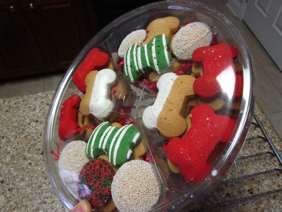 cookie
