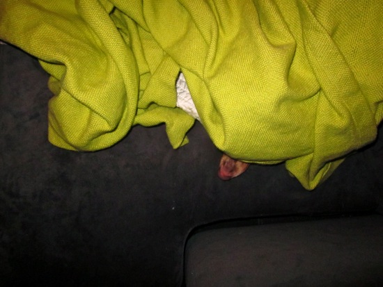 maddy + blanket