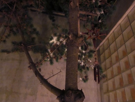 tree