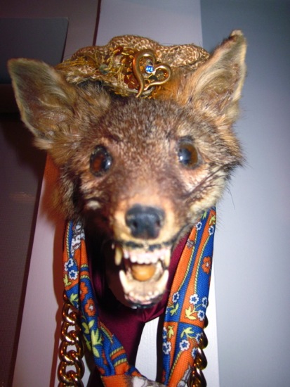 fox