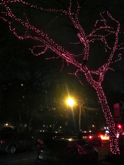 tree