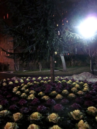 stuytown