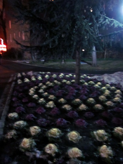 stuytown