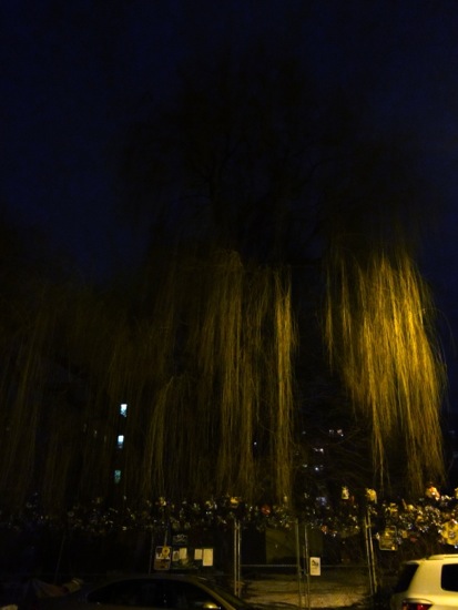 tree
