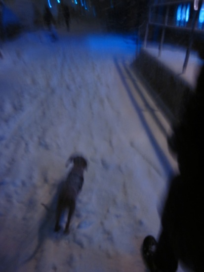 snow