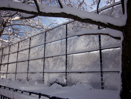 fence