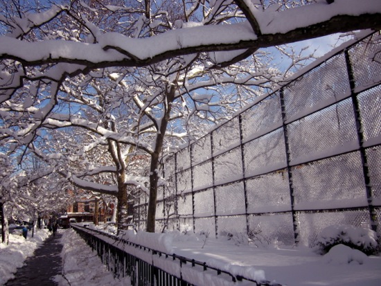 fence
