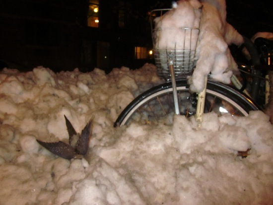 snow