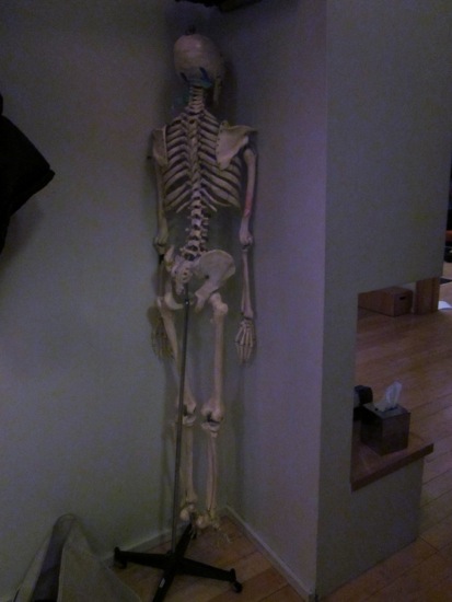 skeleton