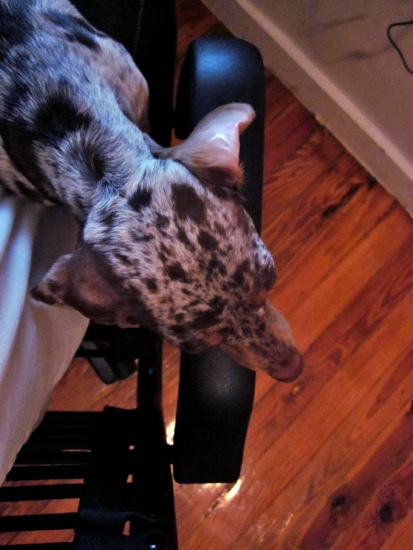 asleep