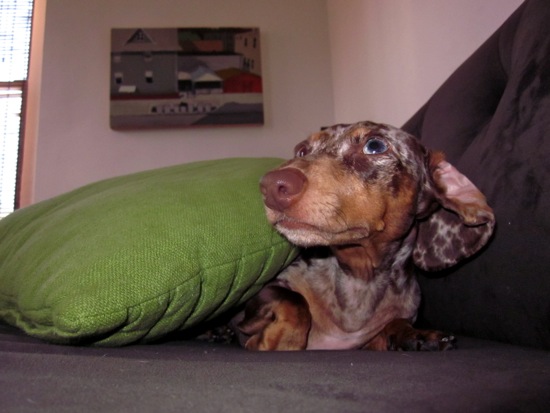 pillow