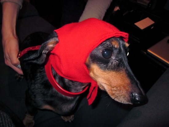 edie
