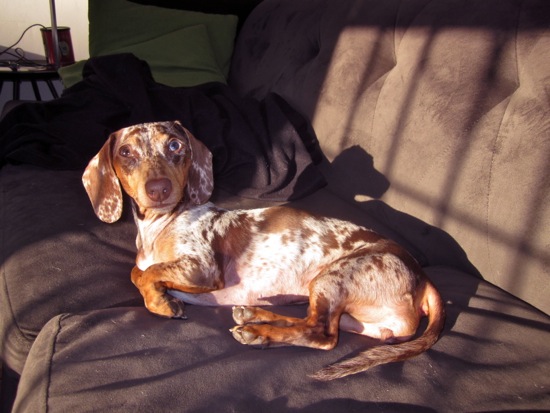 sunbathing