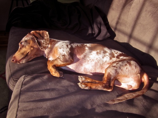 asleep