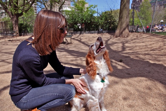 dog park