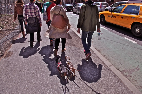 maddy + walking