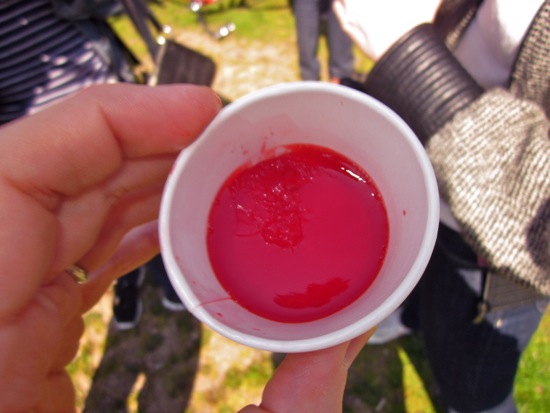 shots
