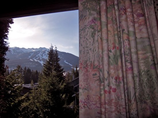 window
