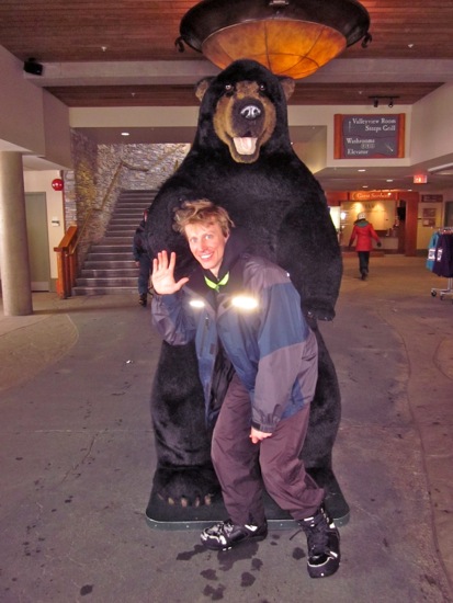 bear