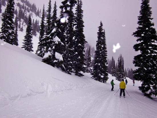 whistler
