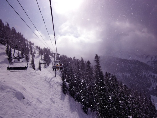 whistler