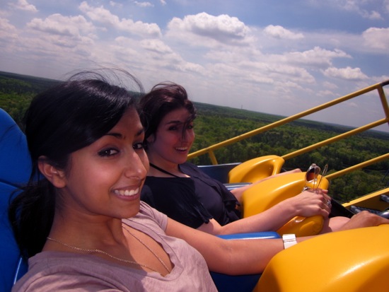 roller coaster