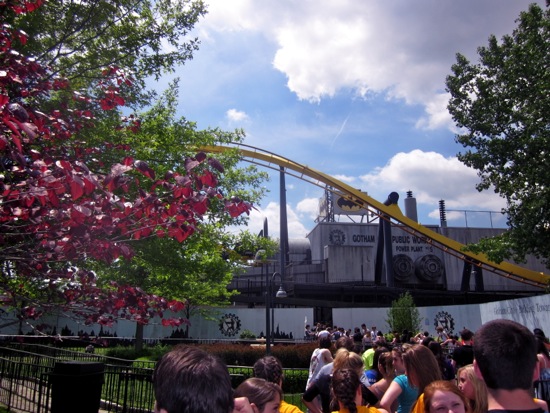 roller coaster